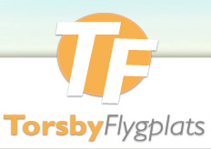 Bildresultat för torsby flygplats logga